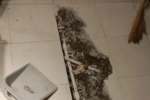 郎溪卫生间漏水检测电话